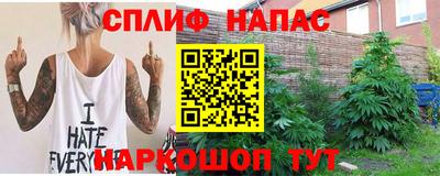 прущие грибы Заводоуковск