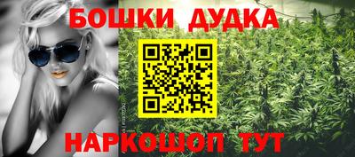 прущие грибы Заводоуковск
