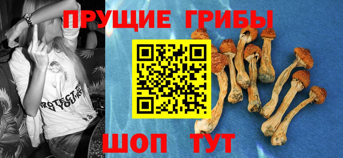 Галлюциногенные грибы Cubensis  Вход с VPN  Мирный 