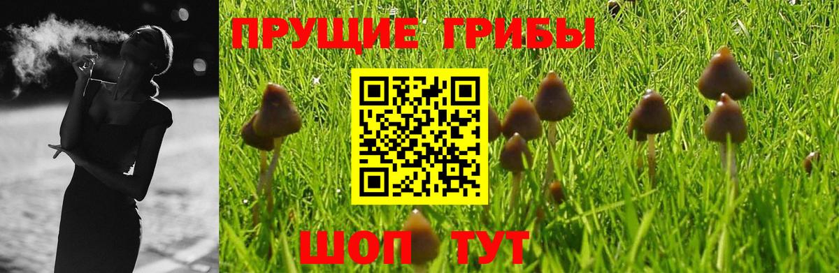 Псилоцибиновые грибы GOLDEN TEACHER Мирный